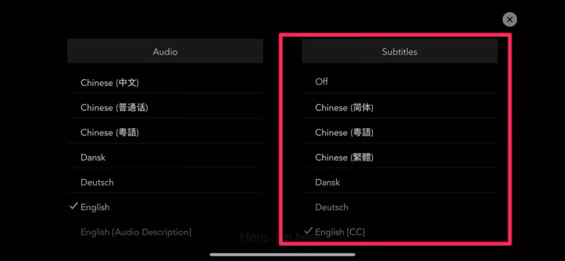Disney Plus Subtitles