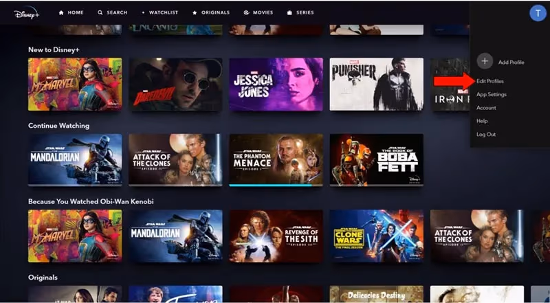 Disney Plus Delete Your Profile 1