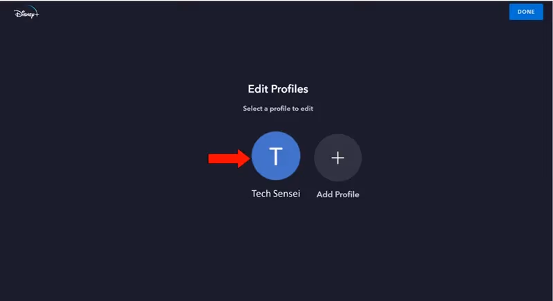 Disney Plus Delete Your Profile 2