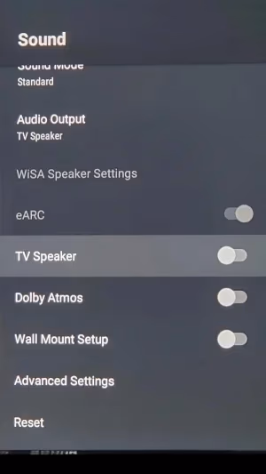 Hisense Tv Tv Speaker