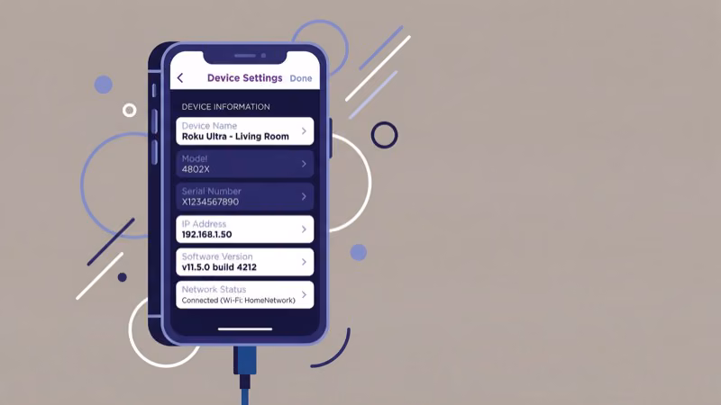Roku mobile app System Info screen displaying device IP address and network details