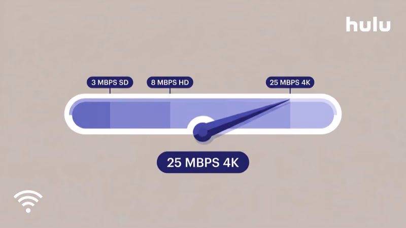 Internet speed test result on Fire TV Stick showing Mbps download speed for Hulu streaming