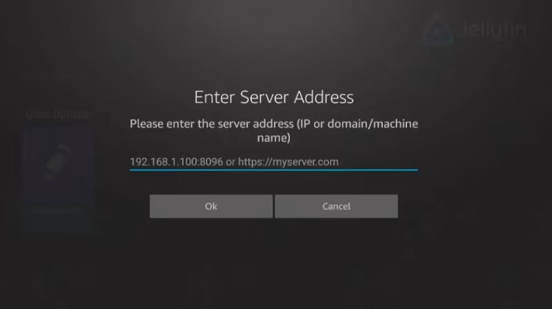 Connecting To Jellyfin Server 1