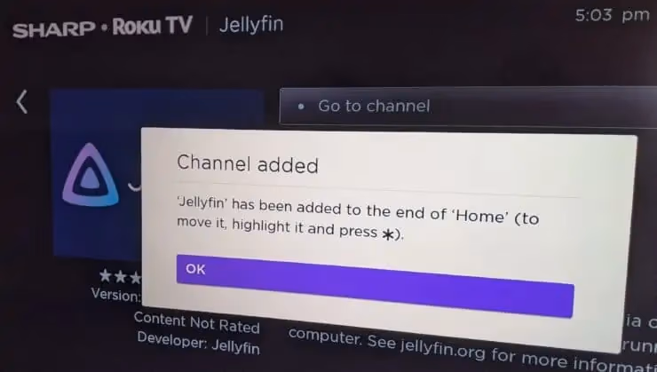Install The Jellyfin Channel On Roku 2