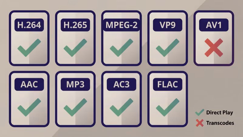 Media codec compatibility chart for Jellyfin playback on Roku
