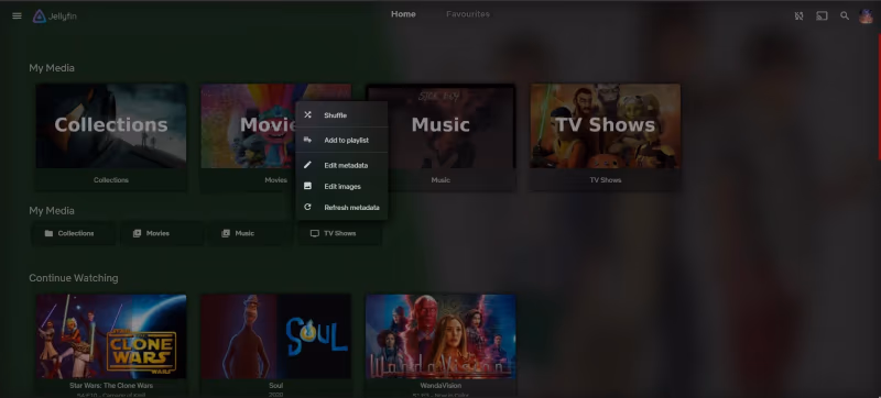 Jellyfin Customization And Configuration