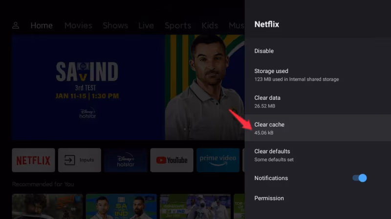Clear Netflix App Cache And Data
