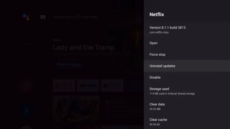 Uninstall Netflix App On Tv
