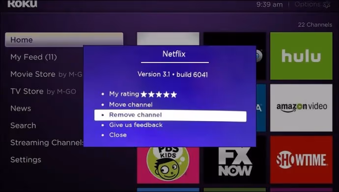 Netflix Remove Channel