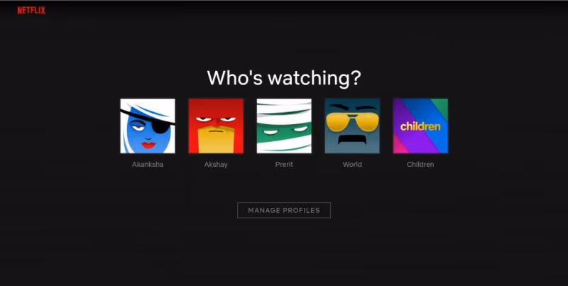 Netflix Multiple User Profiles
