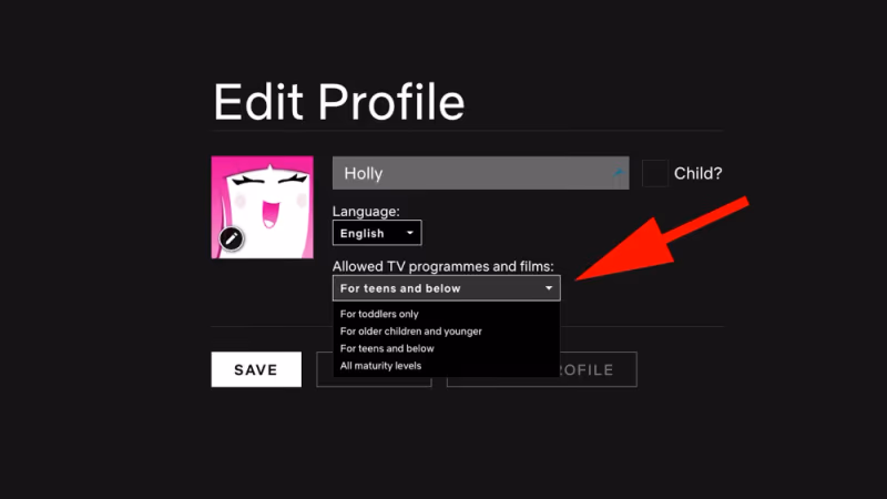 Netflix Parental Controls