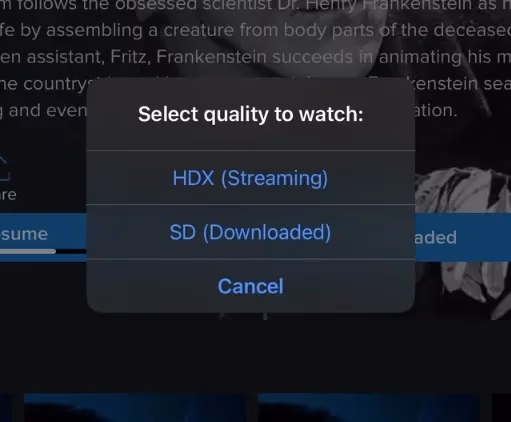 Vudu Quality