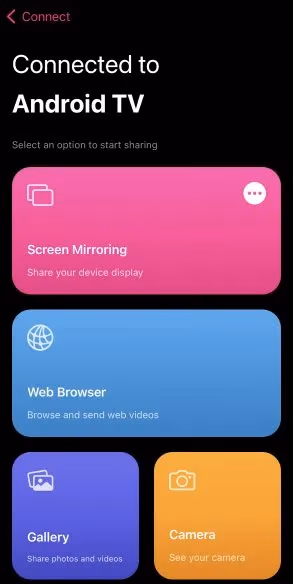 Replica App Connect Chromecast 2